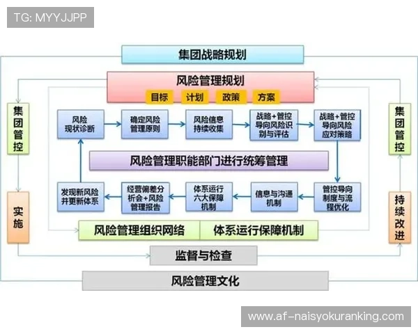 深入理解AG电子评级对风险管理的影响与作用